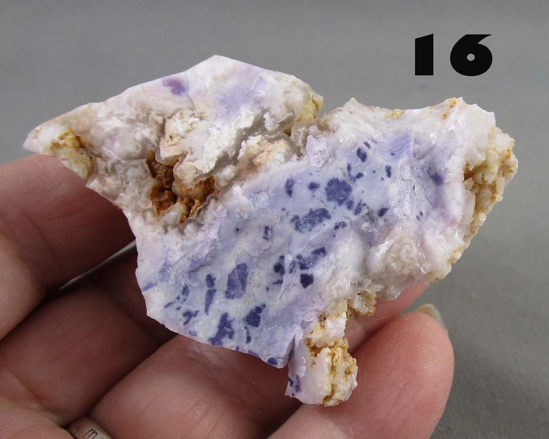You Choose! Purple Opal (Morado Opal)