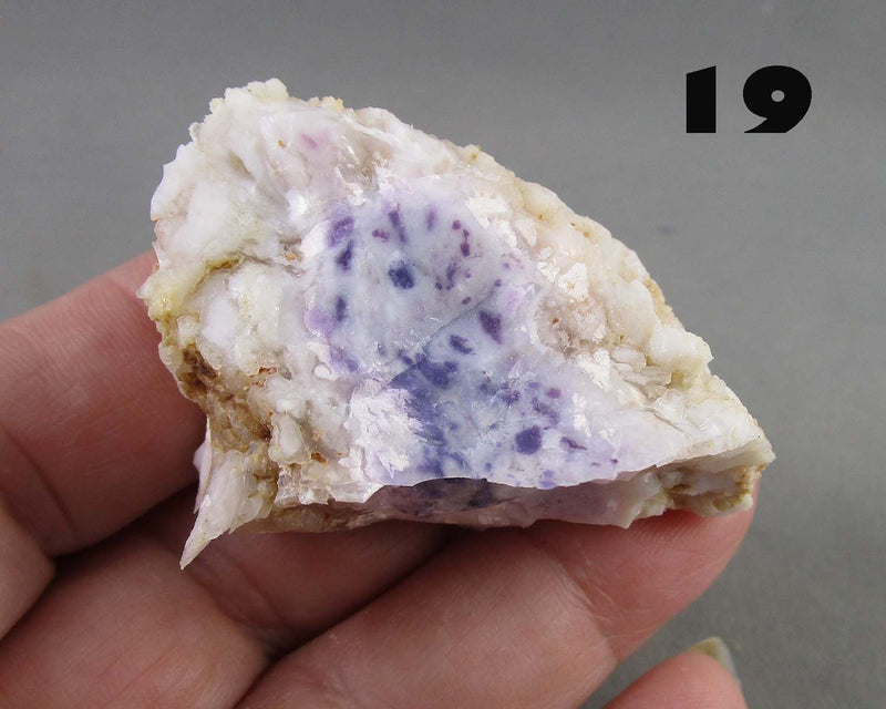 You Choose! Purple Opal (Morado Opal)