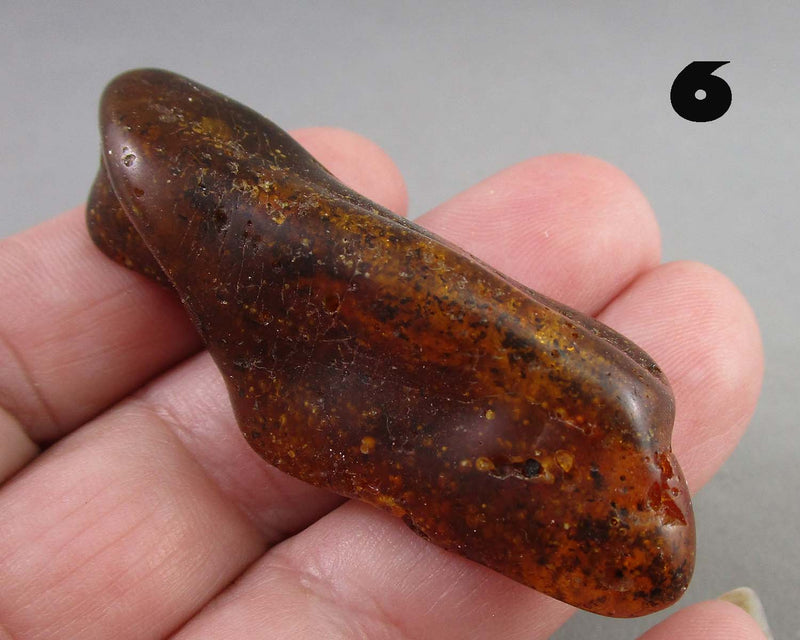 You Choose! Natural Amber Stones (Drilled) DROP 1