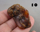 You Choose! Natural Amber Stones (Drilled) DROP 1