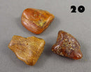 You Choose! Natural Amber Stones (Drilled) DROP 1