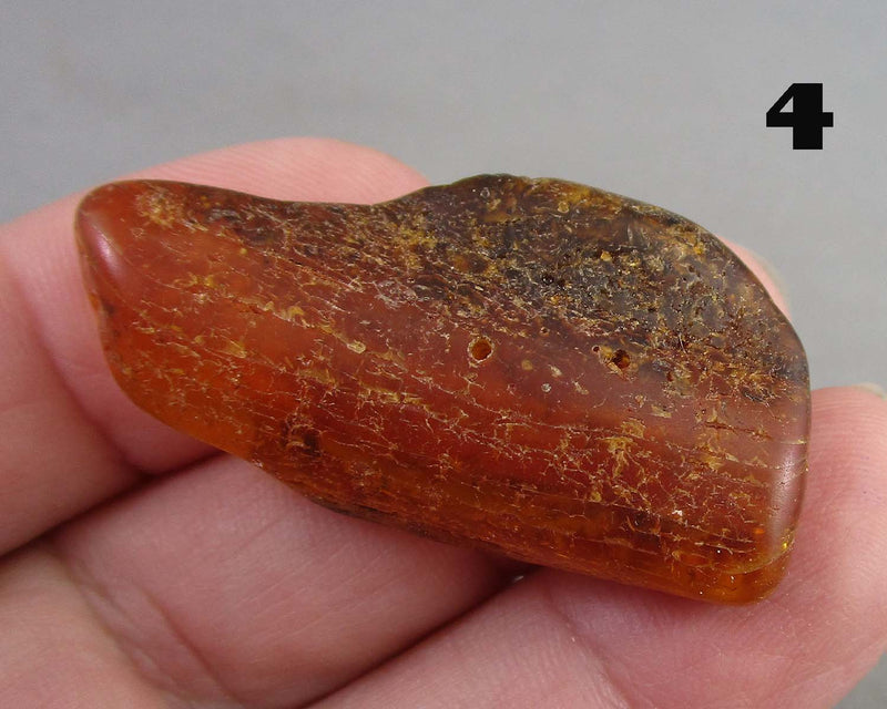 You Choose! Natural Amber Stones (Drilled) DROP 2