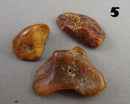 You Choose! Natural Amber Stones (Drilled) DROP 2