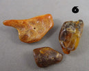 You Choose! Natural Amber Stones (Drilled) DROP 2