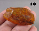 You Choose! Natural Amber Stones (Drilled) DROP 2