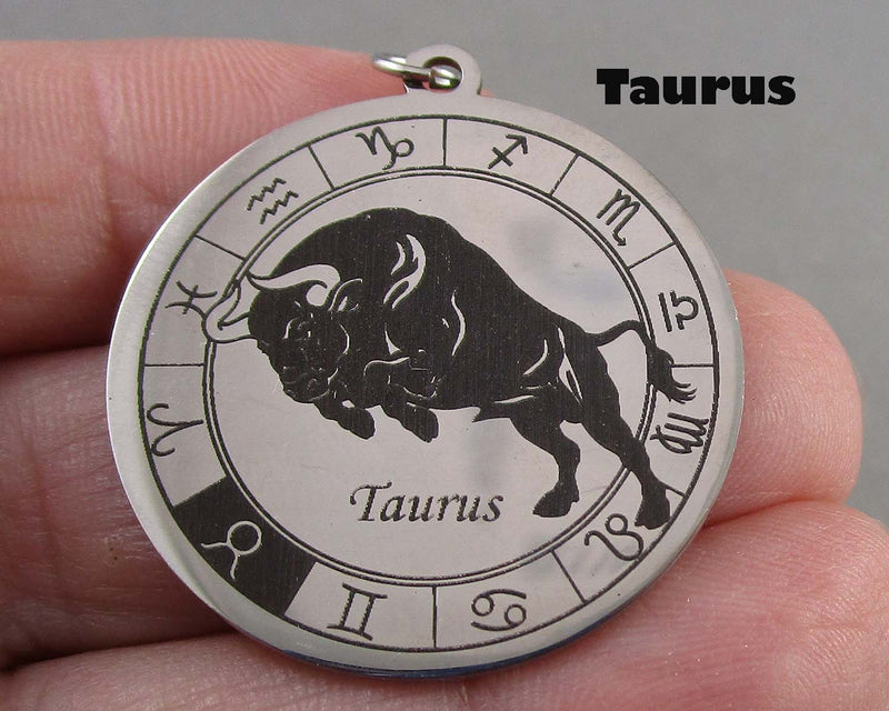 You Choose! Stainless Steel Zodiac Symbol Pendants!