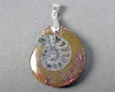 Ammonite Fossil Gemstone Pendant H056-19
