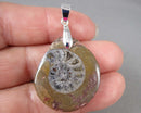 Ammonite Fossil Gemstone Pendant H056-19