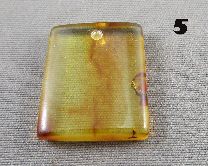 You Choose!  Polished Amber Drilled Cabochons