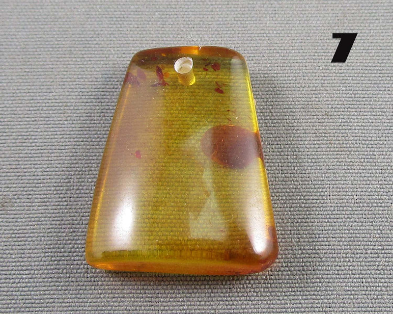 You Choose!  Polished Amber Drilled Cabochons
