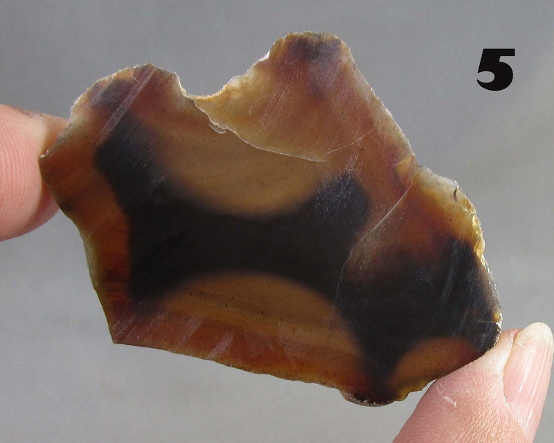 NEW Crystal Specimen Drop Sept 7th