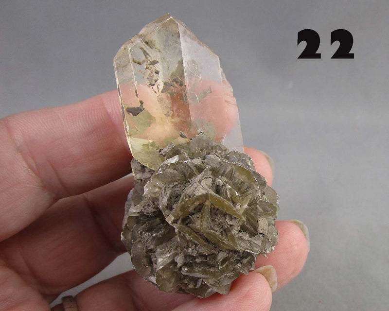 NEW Crystal Specimen Drop Sept 7th