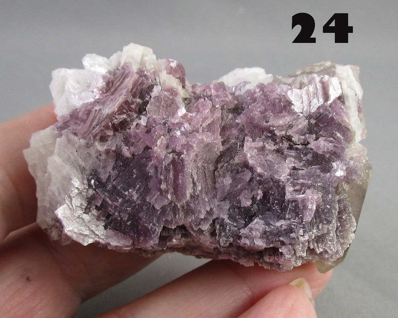 NEW Crystal Specimen Drop Sept 7th