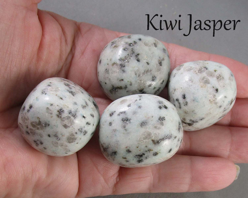 You Choose!  Large Polished Pocket / Palm Stone (Various Types)