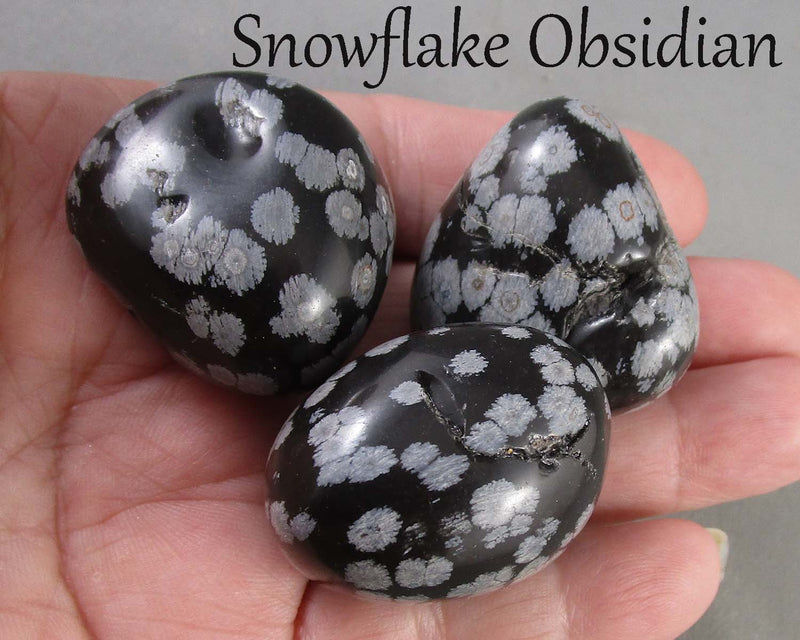 You Choose!  Large Polished Pocket / Palm Stone (Various Types)