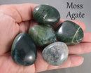 You Choose!  Large Polished Pocket / Palm Stone (Various Types)