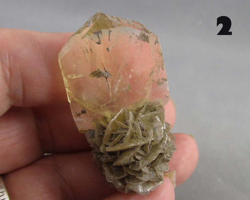 NEW Crystal Specimen Drop Sept 16th