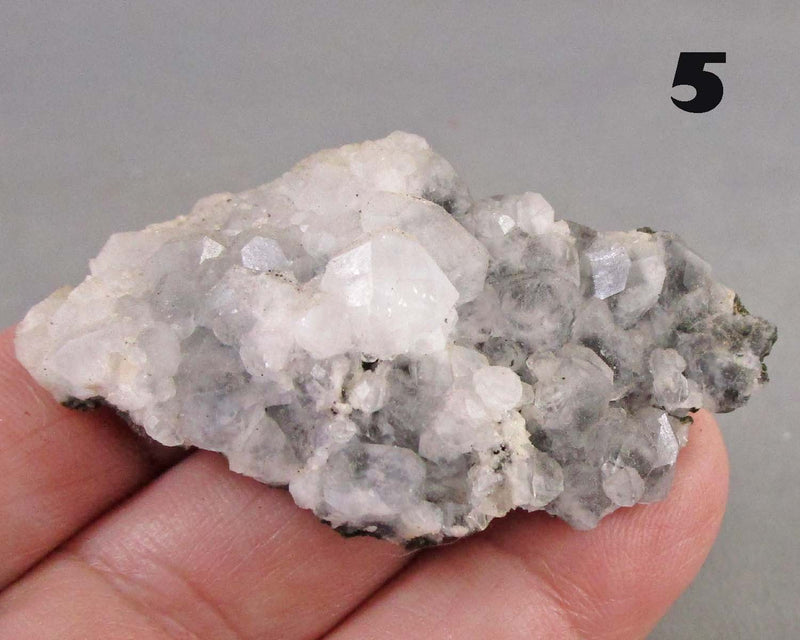 NEW Crystal Specimen Drop Sept 16th