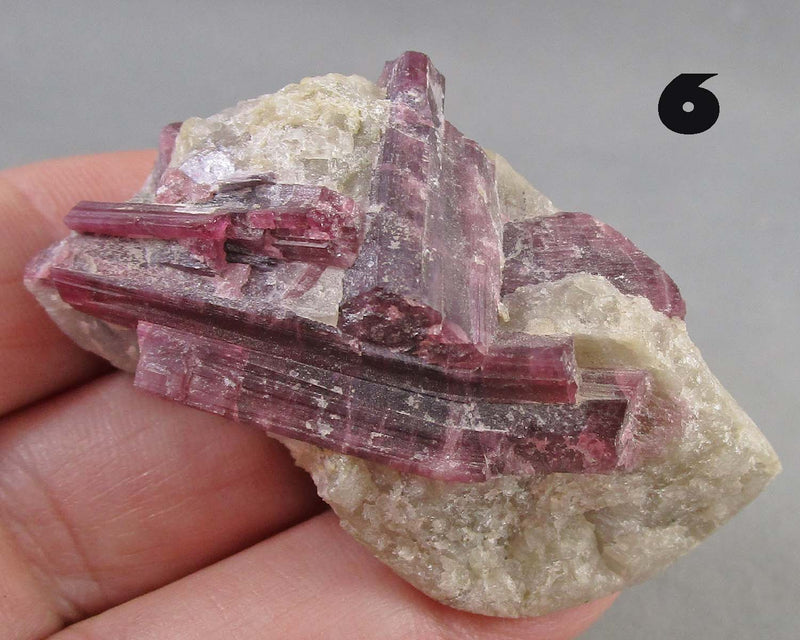 NEW Crystal Specimen Drop Sept 16th