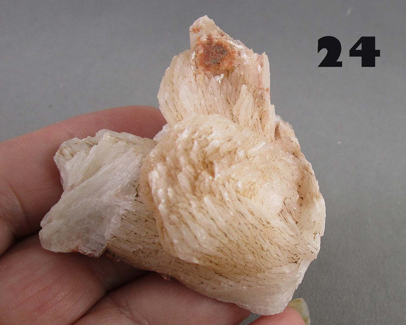 NEW Crystal Specimen Drop Sept 16th