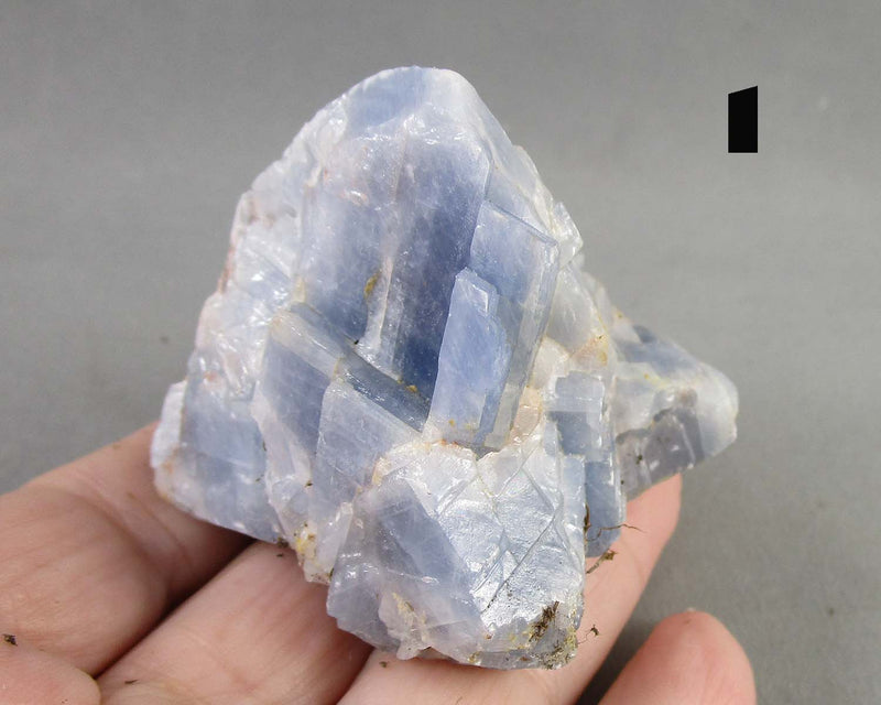 NEW Crystal Specimen Drop Sept 21st