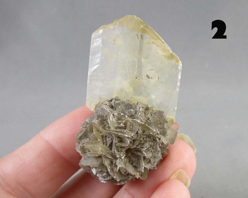 NEW Crystal Specimen Drop Sept 21st
