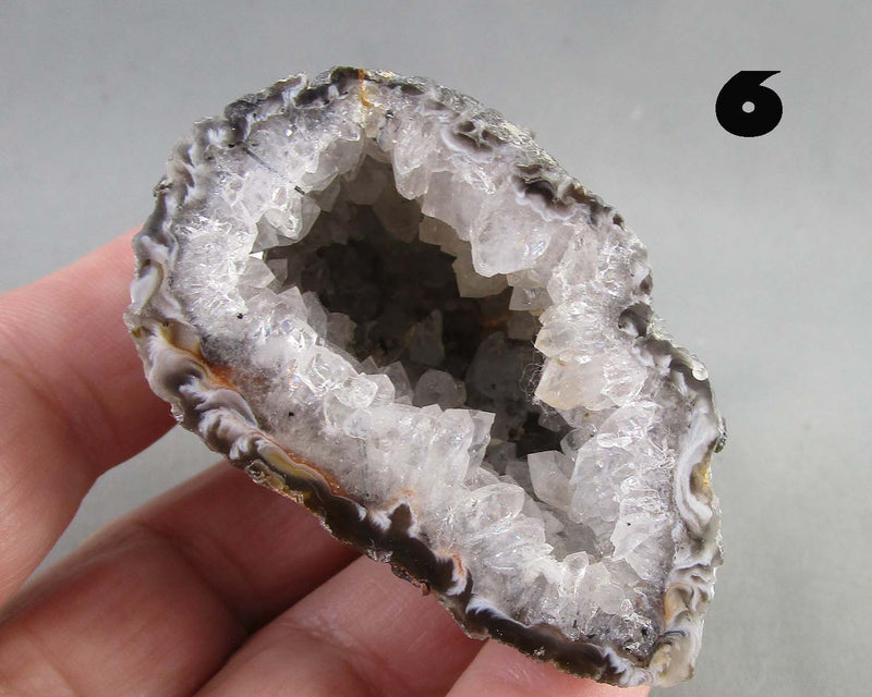NEW Crystal Specimen Drop Sept 21st