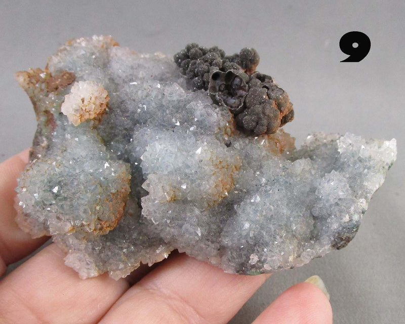 NEW Crystal Specimen Drop Sept 21st