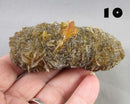 NEW Crystal Specimen Drop Jan 11