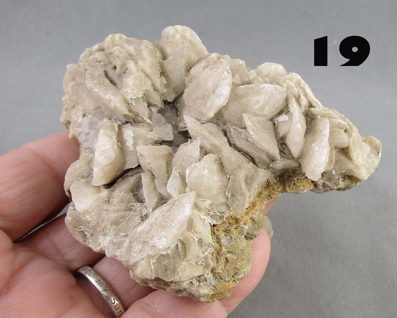 NEW Crystal Specimen Drop Sept 21st