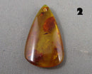 You Choose!  Amber Drilled Cabochon