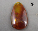 You Choose!  Amber Drilled Cabochon