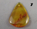 You Choose!  Amber Drilled Cabochon