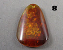 You Choose!  Amber Drilled Cabochon