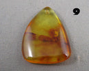 You Choose!  Amber Drilled Cabochon