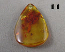 You Choose!  Amber Drilled Cabochon