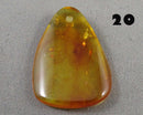 You Choose!  Amber Drilled Cabochon