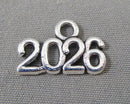 2026 Charms Silver Tone 10pcs (C570)