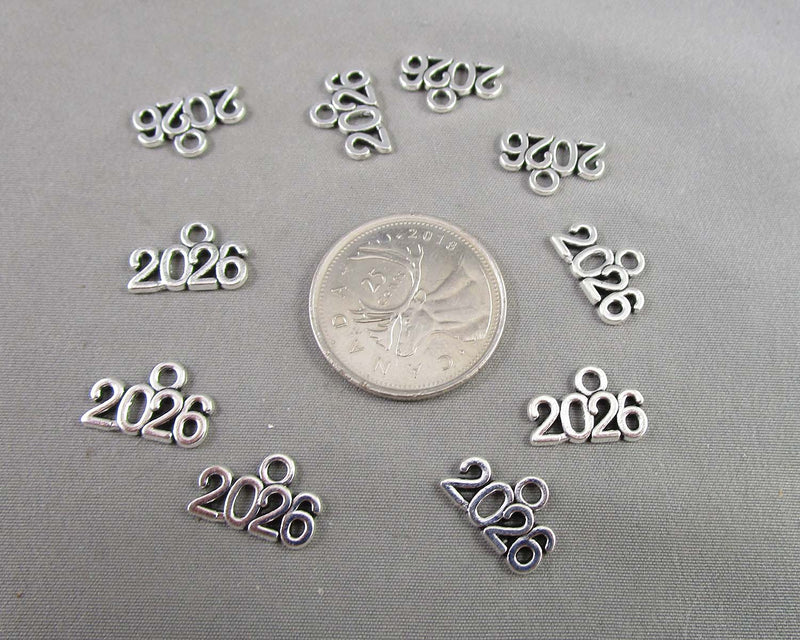 2026 Charms Silver Tone 10pcs (C570)
