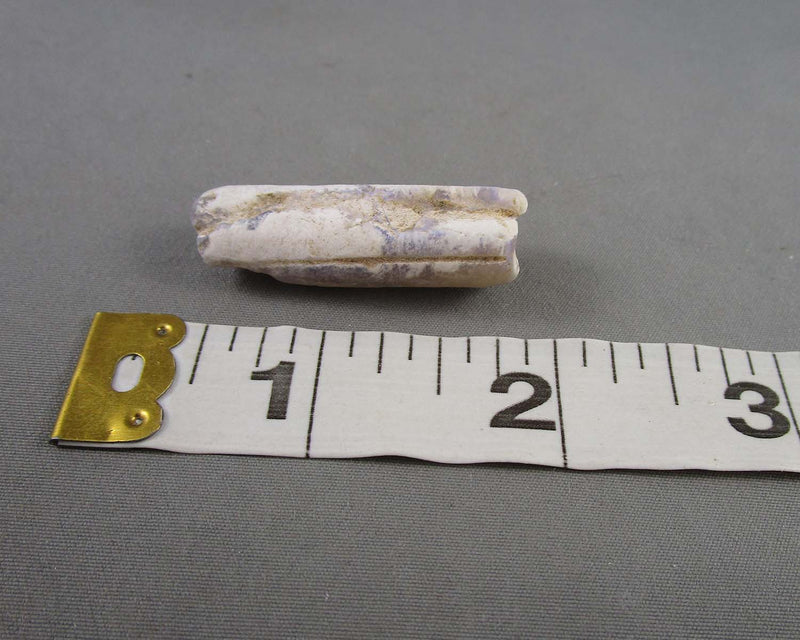 Opalized Belemnite Fossil 1pc B107-5