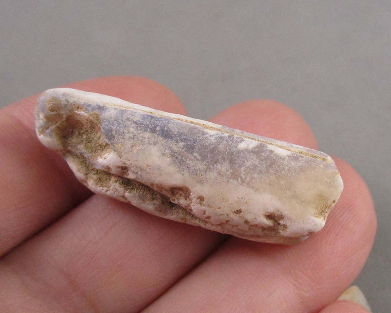 Opalized Belemnite Fossil 1pc B107-5