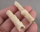 Set of 2 Cave Stalactites with Aragonite 1pc B006-4