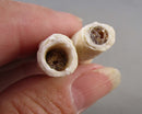 Set of 2 Cave Stalactites with Aragonite 1pc B006-4