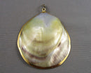 Shell Gemstone Pendant (Vintage) H073-18