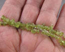 Peridot Beads Mini Chip Strand 16" (C219)