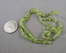 Peridot Beads Mini Chip Strand 16" (C219)