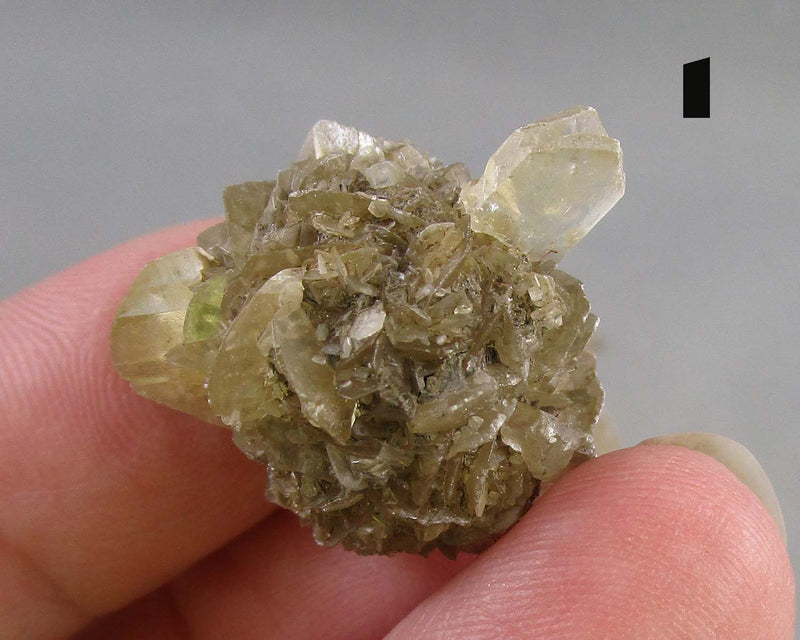 NEW Crystal Specimen Drop Oct 1st
