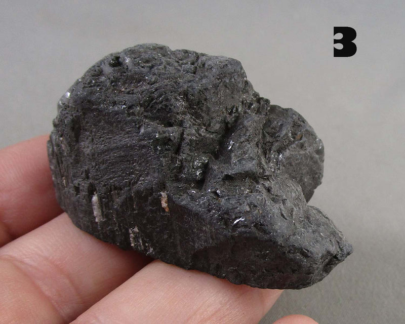 You Choose!  Black Tourmaline Crystal