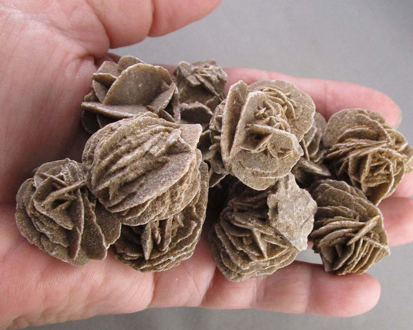Selenite Desert Rose 2pcs Z047