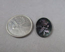 Black Lip Shell Rose Cabochon 25mm Z059